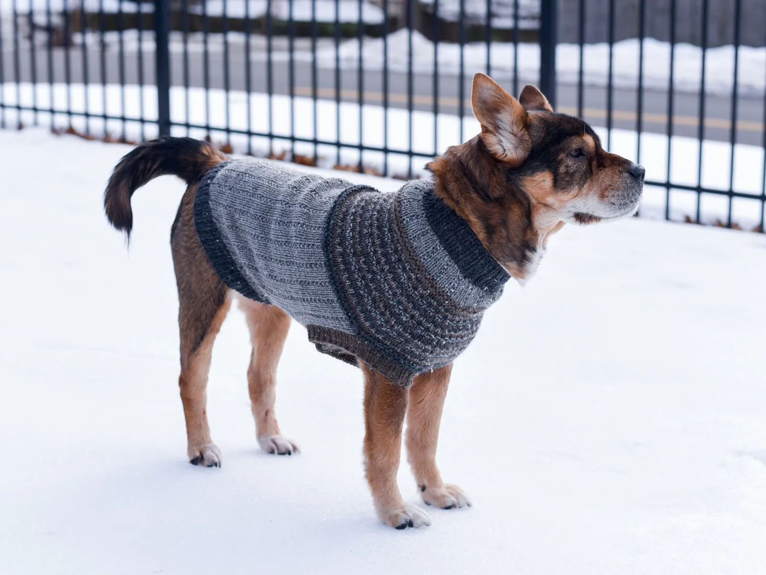 Champlain Pupover <br/><small>knitting pattern</small>