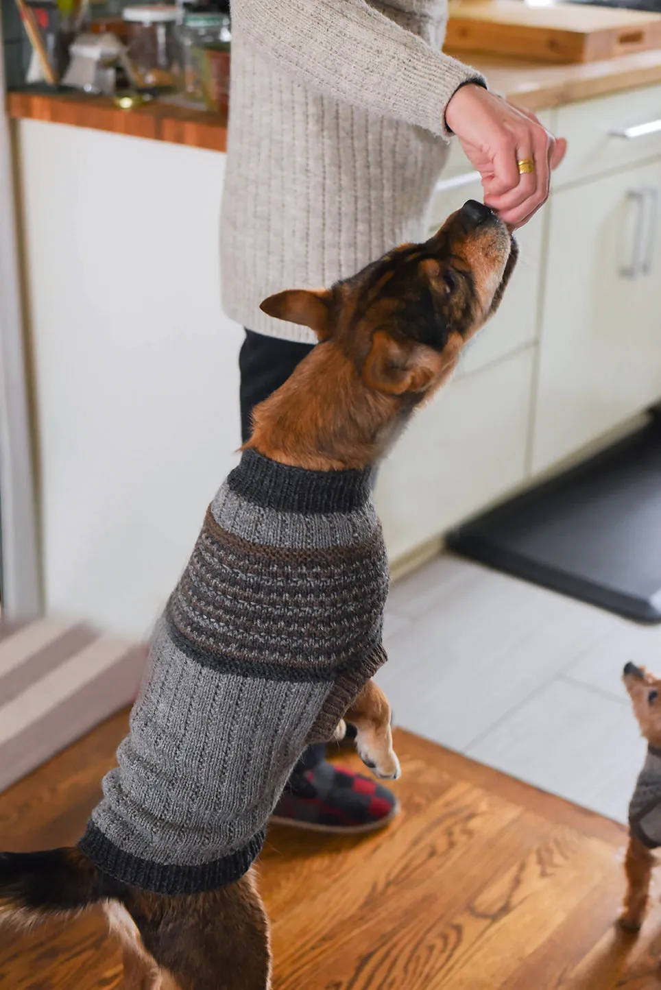 Champlain Pupover <br/><small>knitting pattern</small>