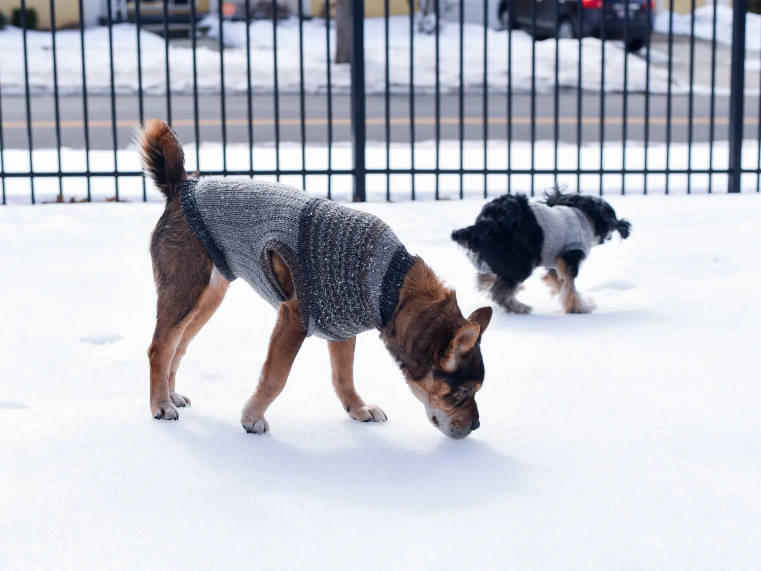 Champlain Pupover <br/><small>knitting pattern</small>