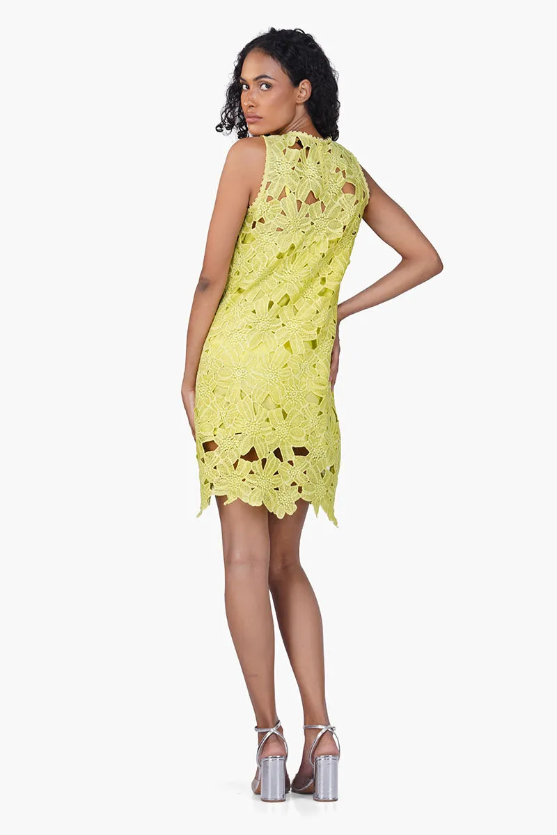 Fall For Neon Floral Lace Short Dress