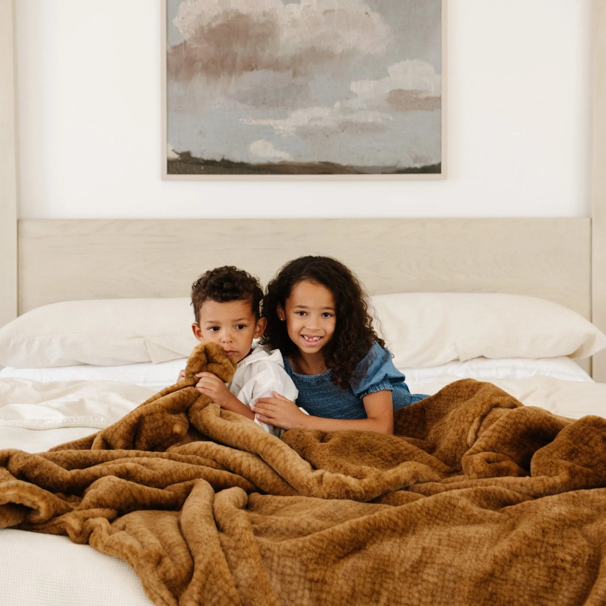 GRAND FAUX FUR THROW BLANKETS