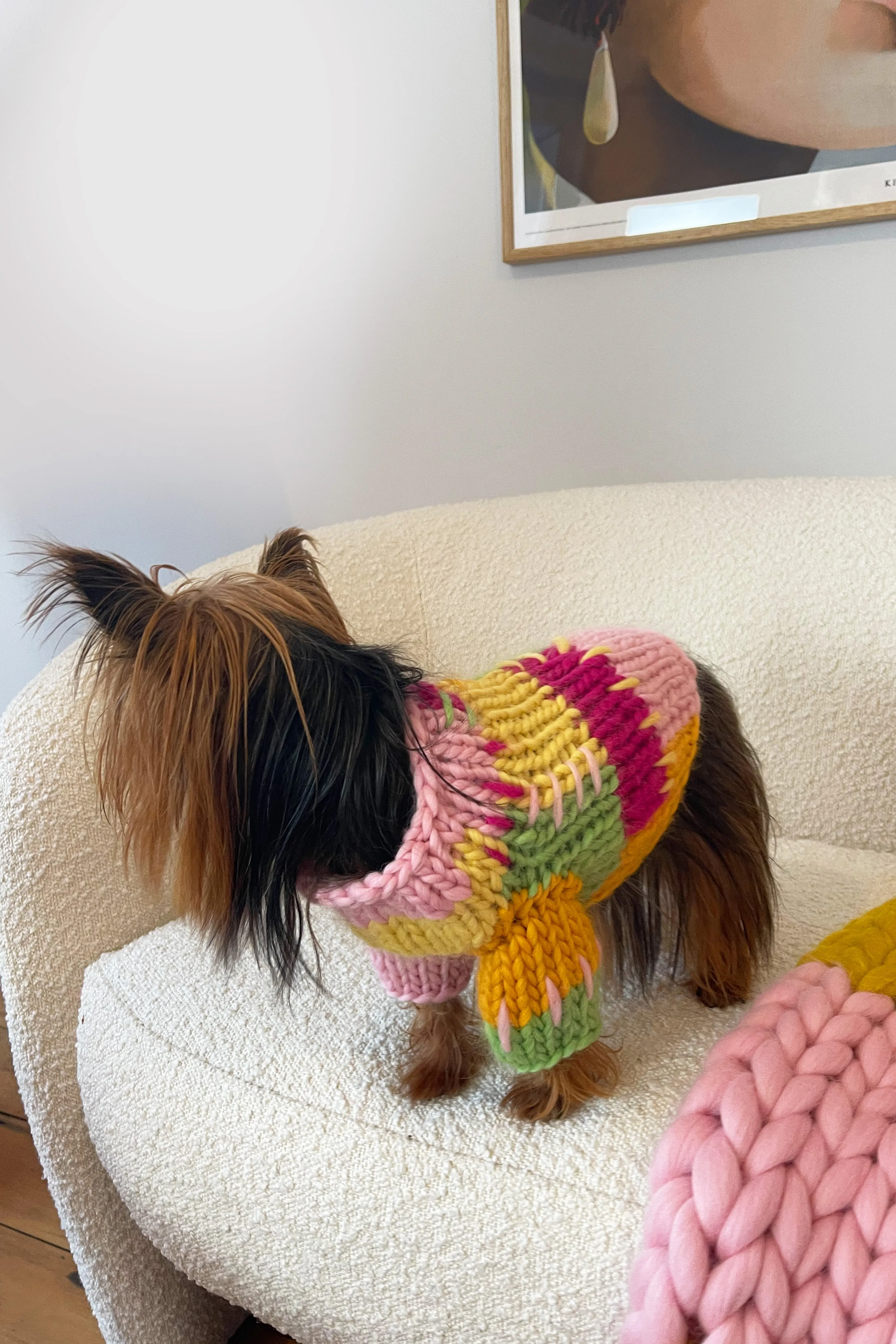 Lily Chunky Knit Pet Sweater