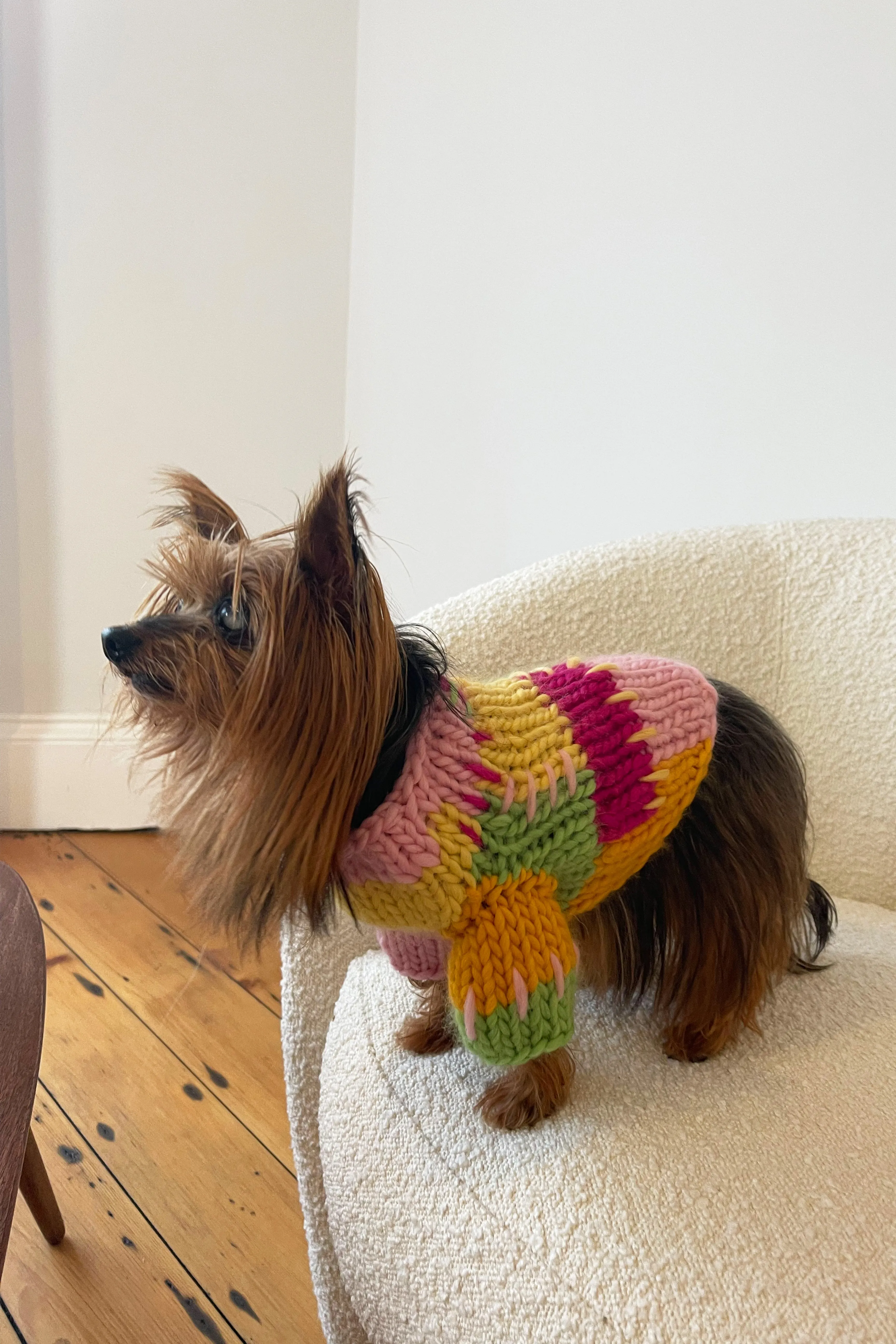 Lily Chunky Knit Pet Sweater