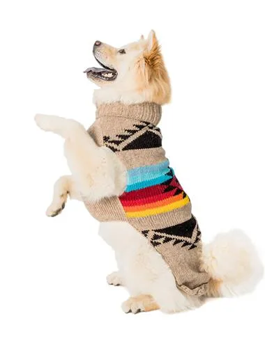 Painted Desert Southwest Sweater