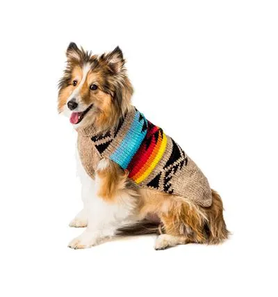 Painted Desert Southwest Sweater