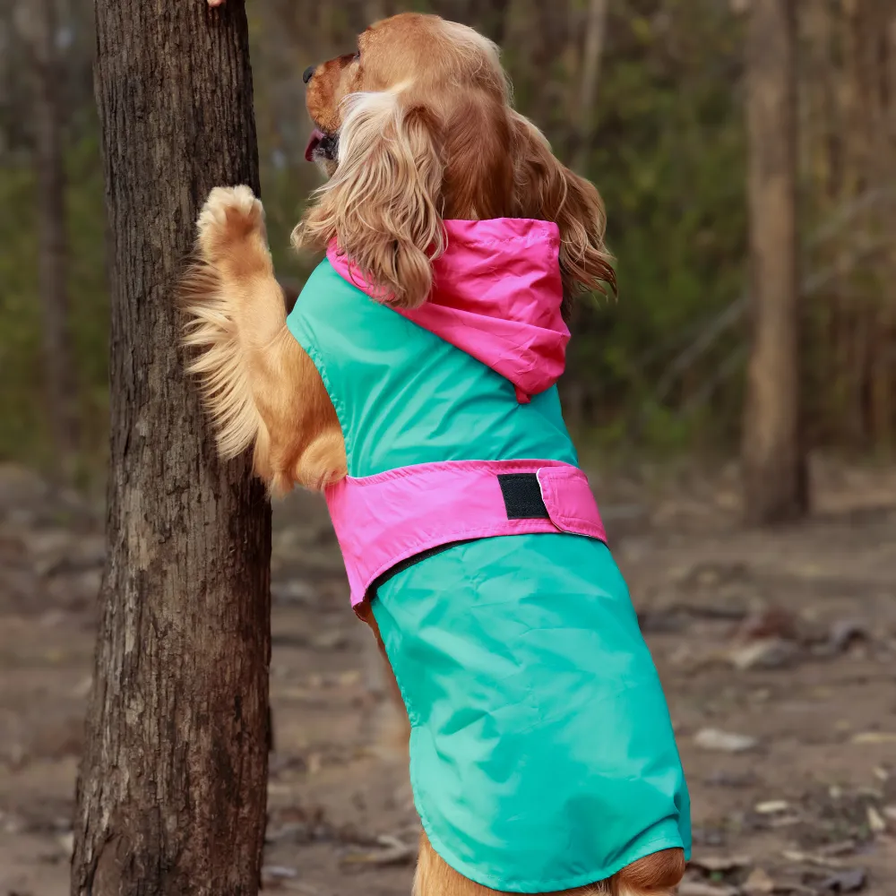 Pet Set Go Splash Waterproof Raincoat for Dogs (Aqua Pink)