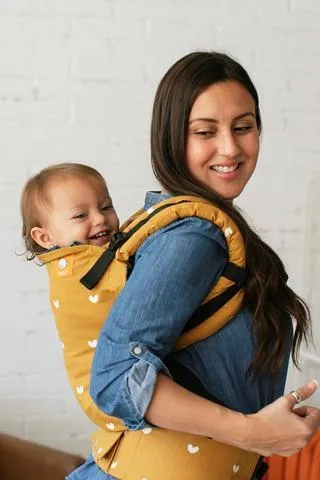 Play Tula Standard Baby Carrier