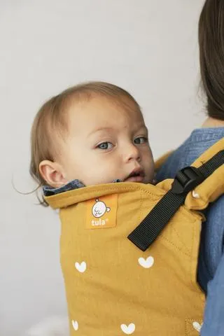 Play Tula Standard Baby Carrier