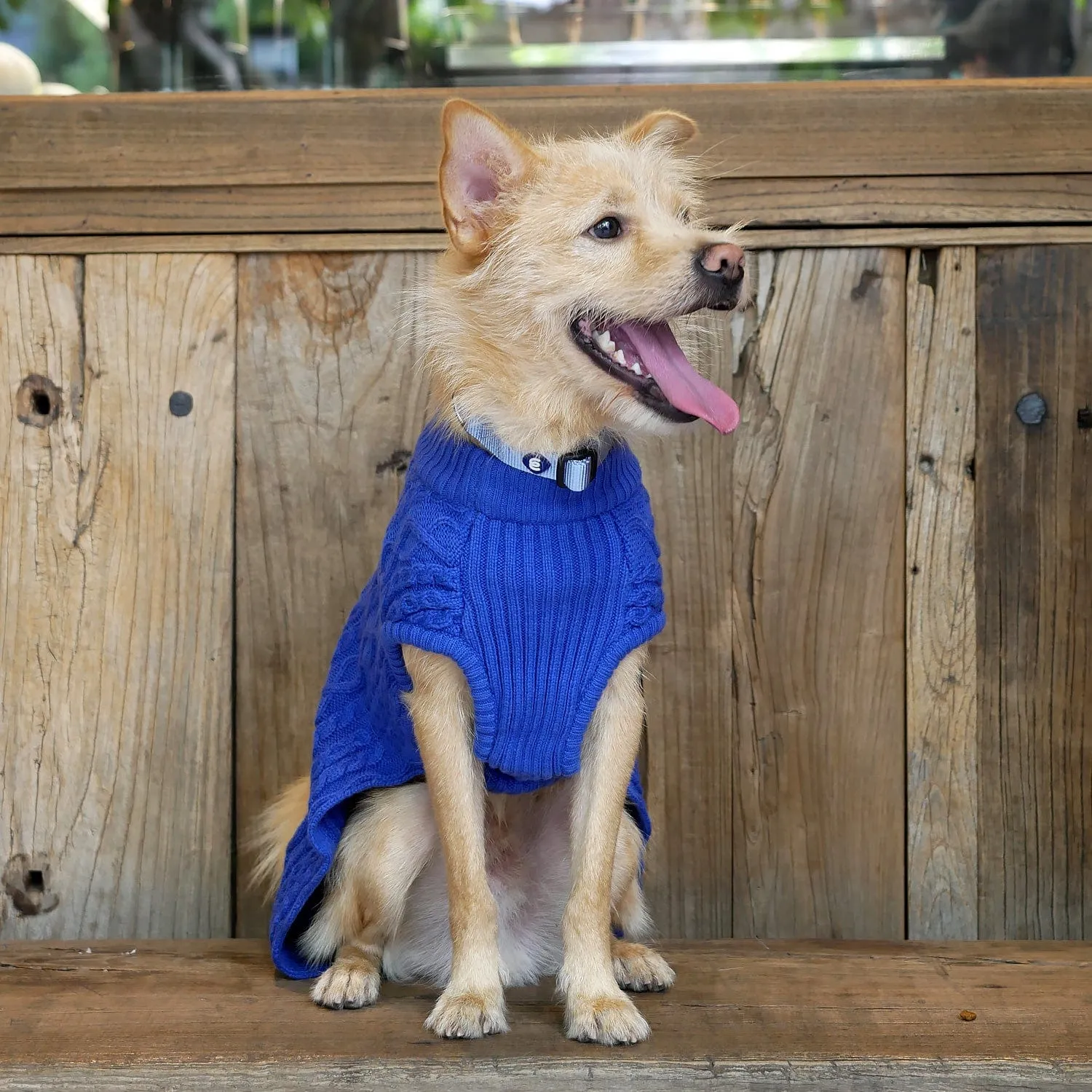 Wool Blend Cable Knit Dog Sweater